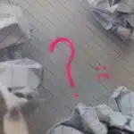 propje